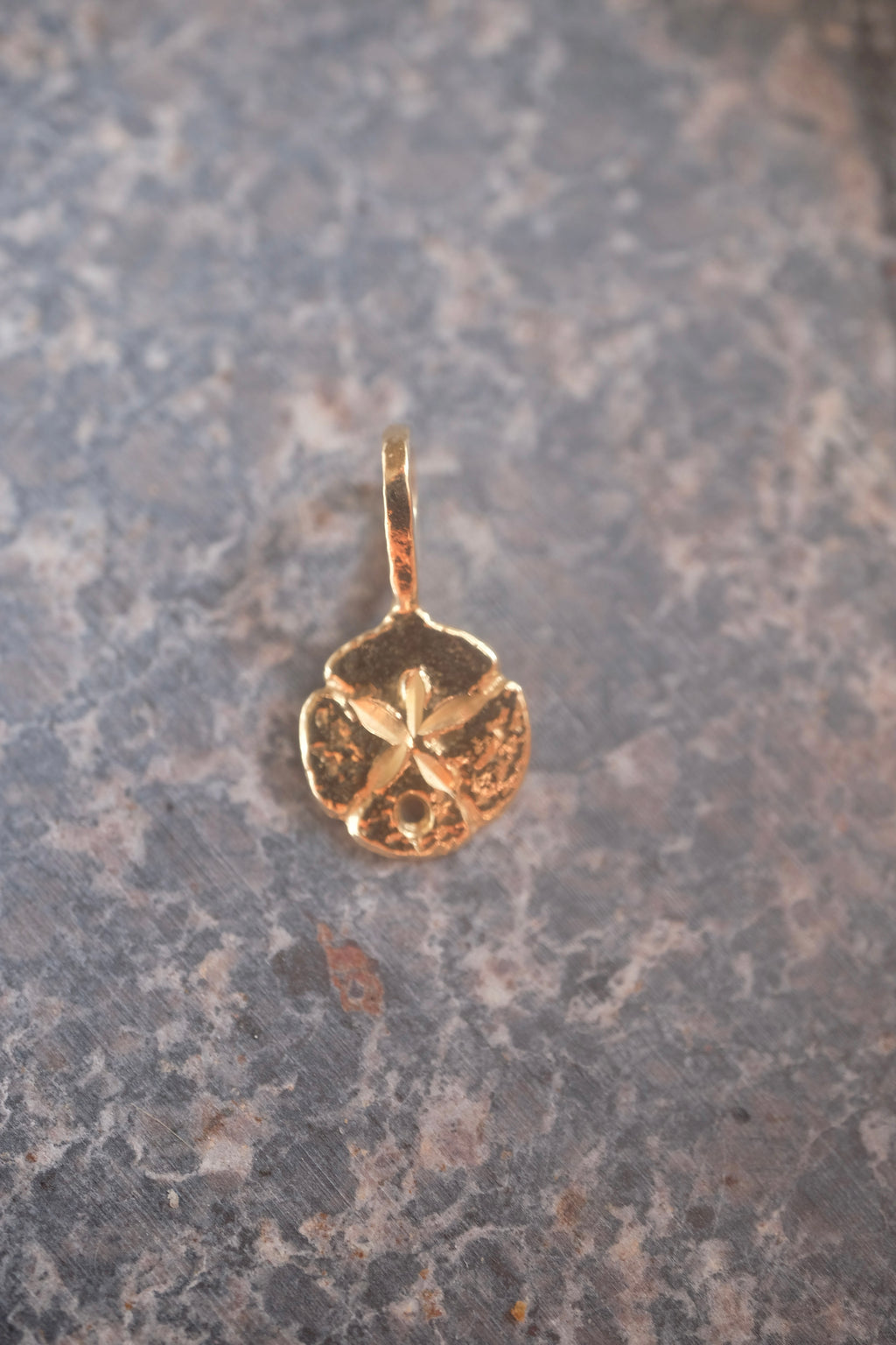 Mini Sand Dollar